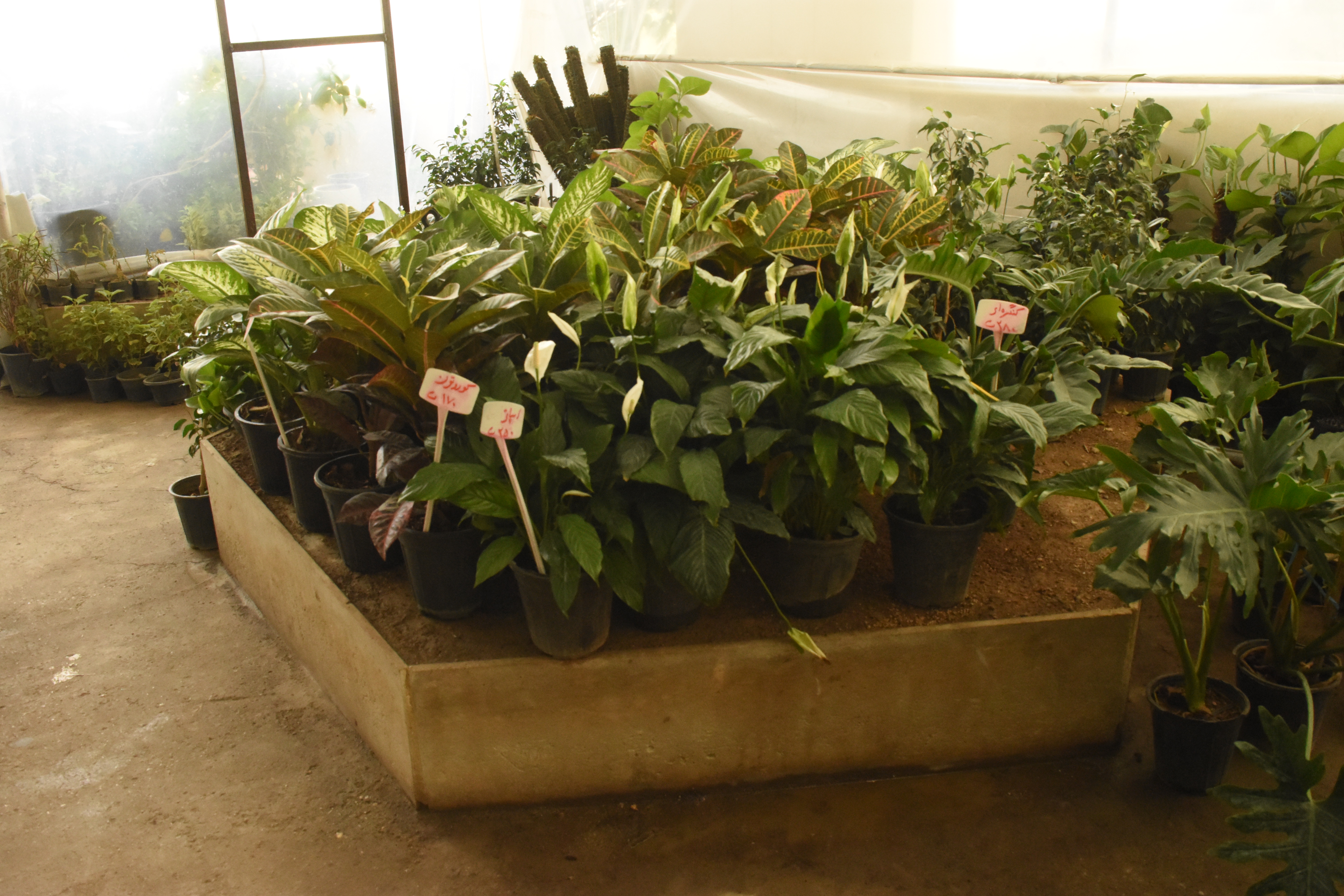 پروژه بازارچه گل وگیاه